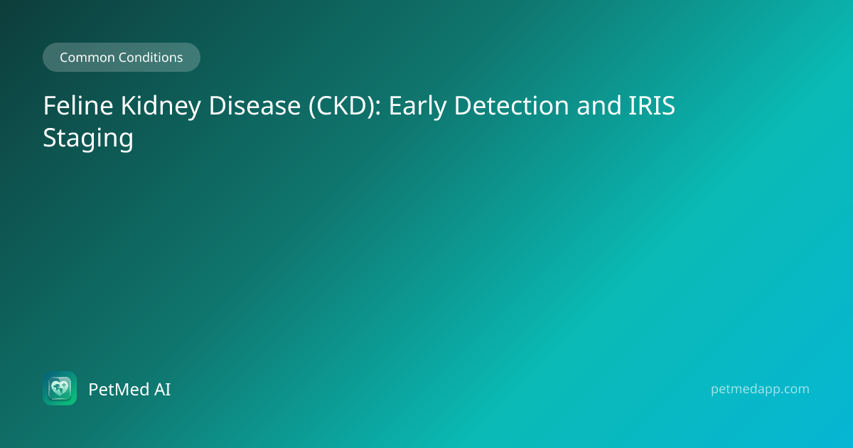 Feline Kidney Disease (CKD): Early Detection and IRIS Staging — PetMed ...