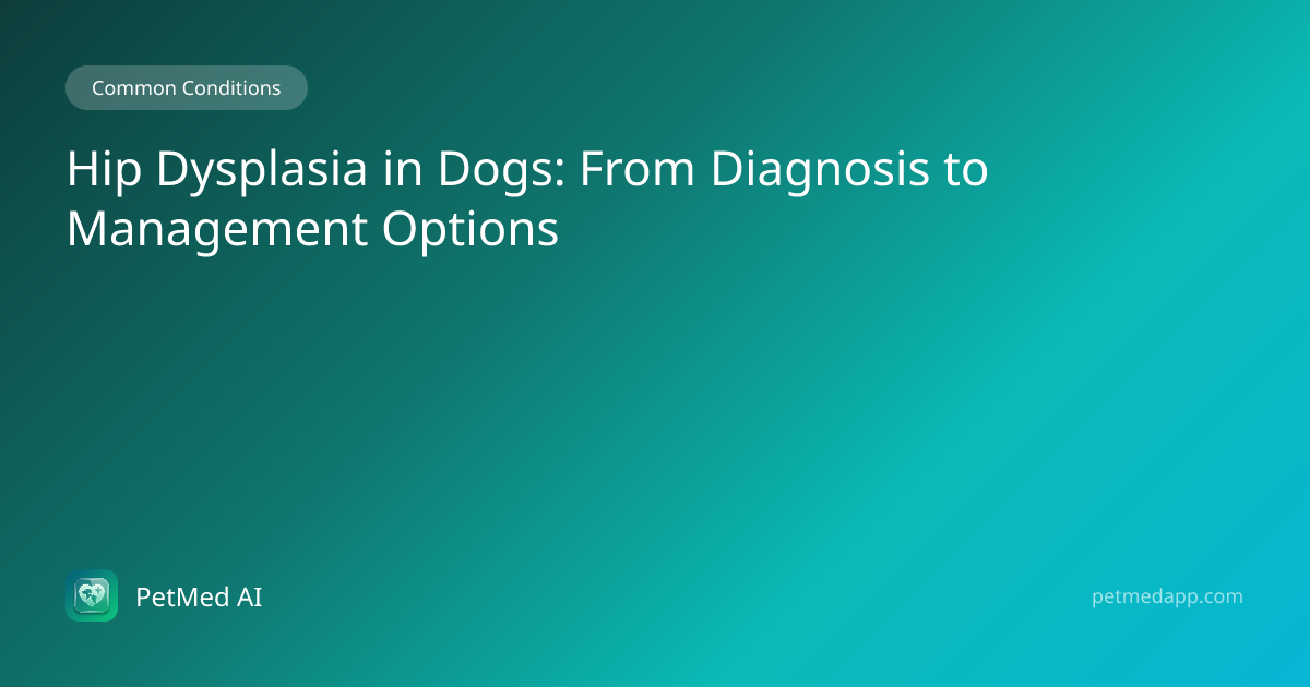 Hip Dysplasia in Dogs: From Diagnosis to Management Options — PetMed AI ...