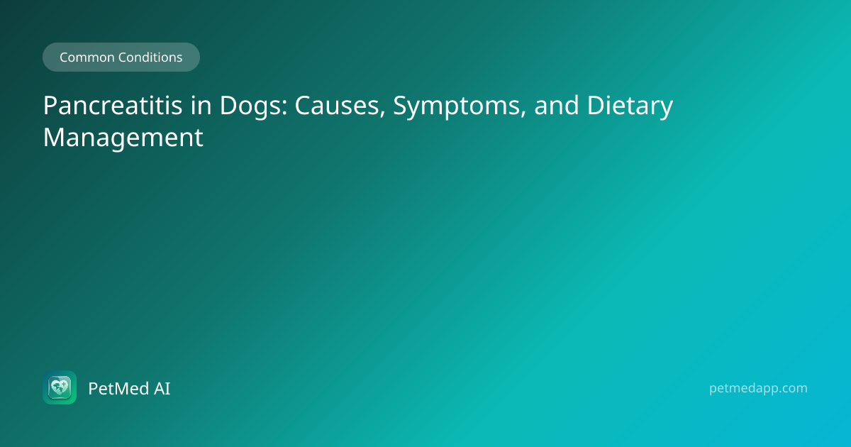 Pancreatitis in Dogs: Causes, Symptoms, and Dietary Management — PetMed ...