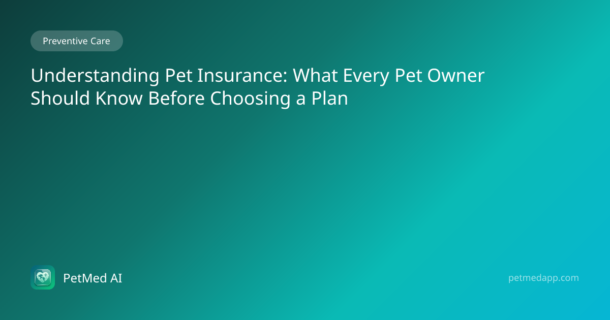 Understanding Pet Insurance: What Every Pet Owner Should Know Before ...
