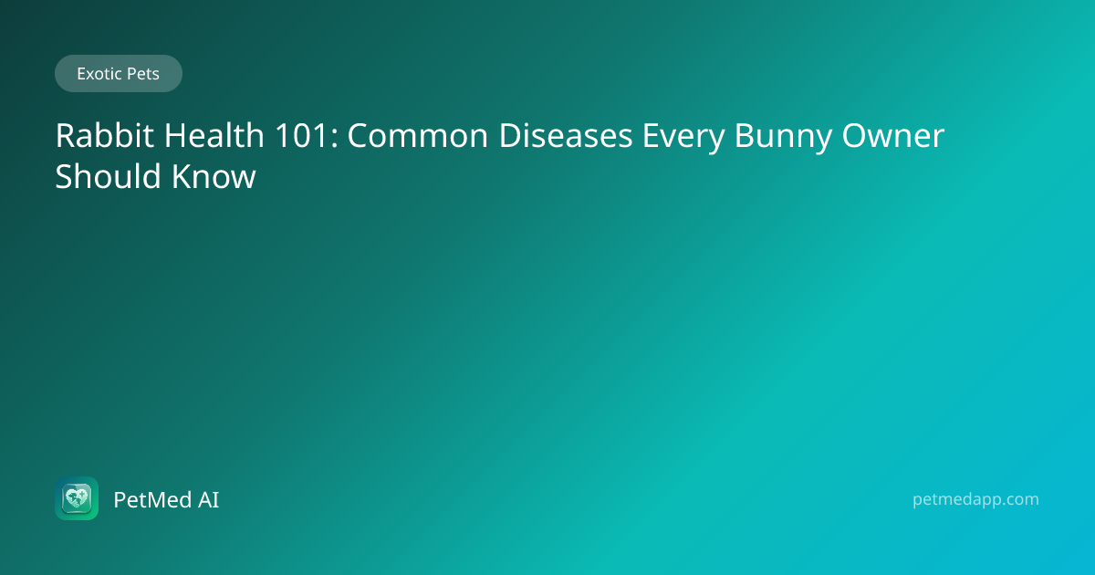 Rabbit Health 101: Common Diseases Every Bunny Owner Should Know ...
