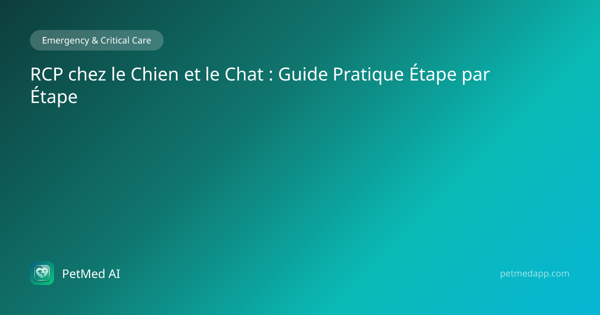 RCP chez le Chien et le Chat : Guide Pratique Étape par Étape — PetMed ...