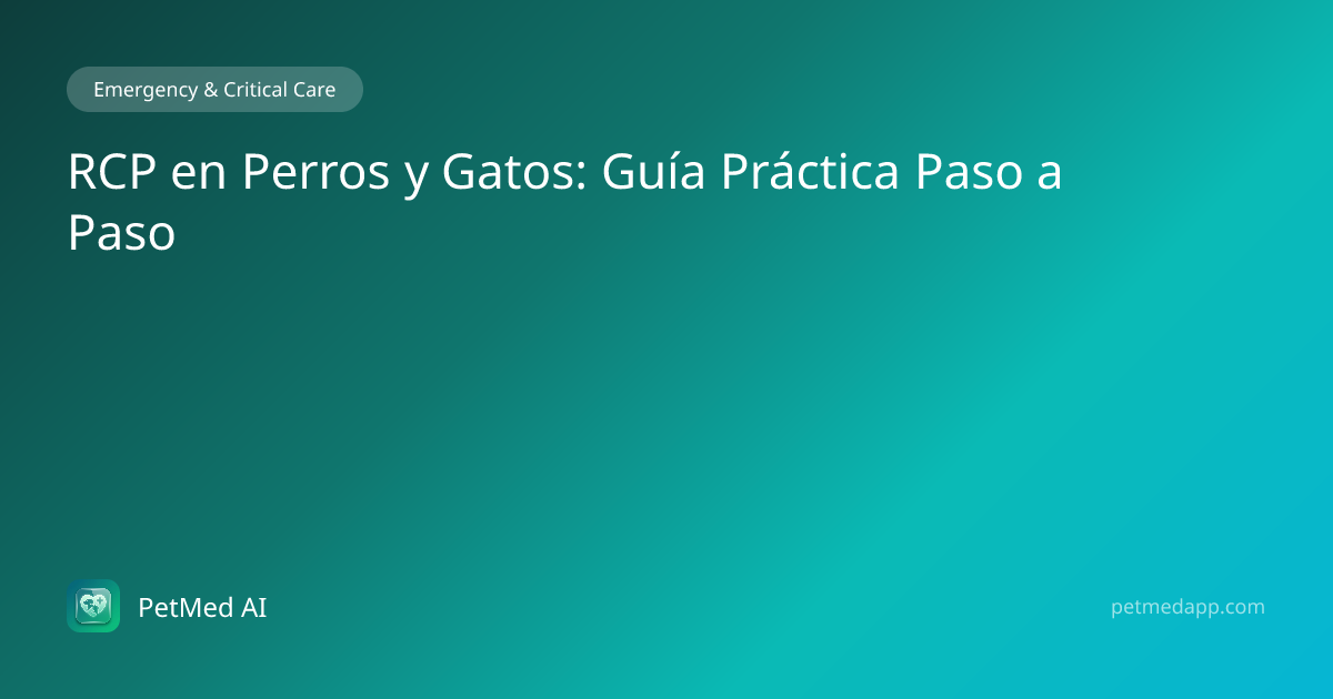 RCP en Perros y Gatos: Guía Práctica Paso a Paso — PetMed AI Blog